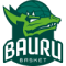 Bauru Basket SP