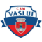 CSM FC Vaslui