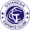 Goianésia EC GO