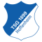 Hoffenheim 2