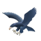 Ateneo Lady Eagles