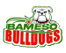 Bameso Bulldogs U22