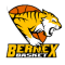 Bernex