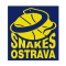 BK Snakes Ostrava