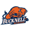 Bucknell Bison