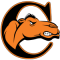 Campbell Fighting Camels