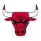 Chicago Bulls