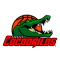 Cocodrilos de Caracas