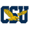 Coppin State Eagles