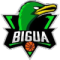 El Bigua