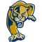 Florida International Golden Panthers