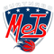 Guaynabo Mets