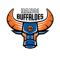 Ha Noi Buffaloes