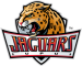 IU Indy Jaguars