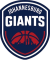 Johannesburg Giants