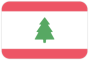 Lebanon Universiade Team