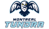 Montreal Tundra