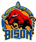 Nalaikh Bison