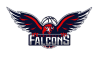 Newcastle Falcons W