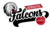 Nuremberga Falcons BC