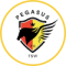 Pegasus Basketball Club