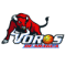 Toros de Aragua