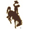 Wyoming Cowboys