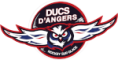 Angers Ducs