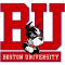 Boston Universitiy Terriers