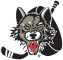 Chicago Wolves