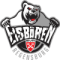 Eisbaren Regensburg