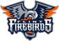 Flint Firebirds