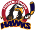 Frederikshavn White Hawks