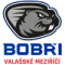 HC Bobri Valasske Mezirici