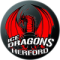 Herforder Ice Dragons