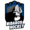 Nidaros U20