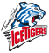 Nuremberg Ice Tigers