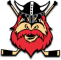 Nybro Vikings IF