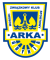 Arka Gdynia Youth