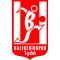Balikesirspor Sub 19