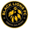 Black Lions