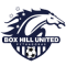 Box Hill United SC