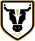 Bulls FC Academy W