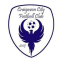 Craigavon City Ladies