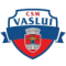 CSM Vaslui