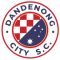 Dandenong City U23