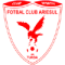 FC Ariesul Turda
