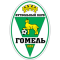 FK Gomel