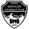 Flint Mountain