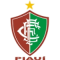Fluminense PI U20